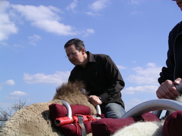 Letztes Bild erreicht